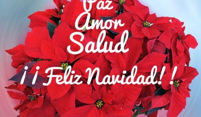 EL VERDADERO ESPÍRITU DE LA NAVIDAD